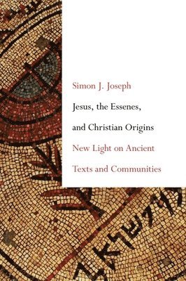 bokomslag Jesus, the Essenes, and Christian Origins: New Light on Ancient Texts and Communities