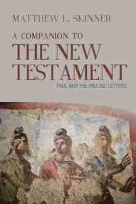 Matthew L. Skinner - Companion to the New Testament, Häftad