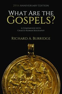 bokomslag What Are the Gospels?