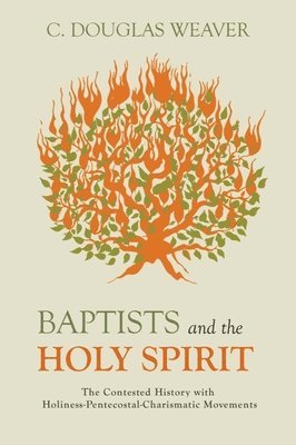 bokomslag Baptists and the Holy Spirit
