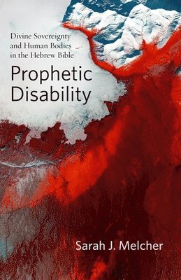bokomslag Prophetic Disability