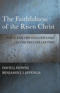 bokomslag The Faithfulness of the Risen Christ