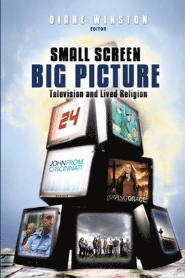 Small Screen, Big Picture 1