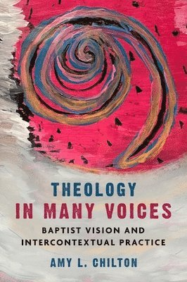 bokomslag Theology in Many Voices