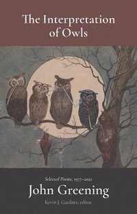 bokomslag The Interpretation of Owls