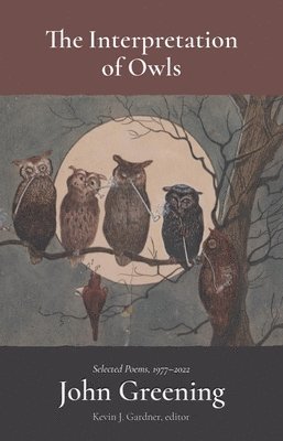 Interpretation of Owls
