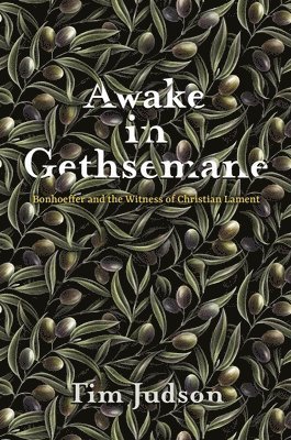 bokomslag Awake in Gethsemane