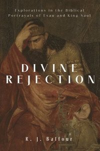 bokomslag Divine Rejection