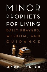 bokomslag Minor Prophets for Living