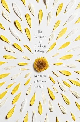 Summer Of Broken Things 1