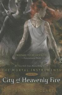 bokomslag City of Heavenly Fire