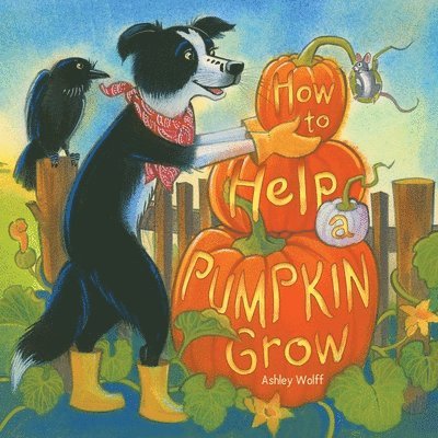 Ashley Wolff - How to Help a Pumpkin Grow, Inbunden