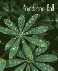 bokomslag Raindrops Roll