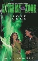 bokomslag Lost Soul