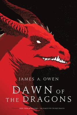 James A. Owen, James A Owen - Dawn of the Dragons: Here, There Be Dragons; The Search for the Red Dragon, Häftad