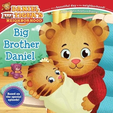 bokomslag Big Brother Daniel