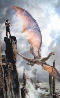 bokomslag The Harper Hall Trilogy: Dragonsong; Dragonsinger; Dragondrums