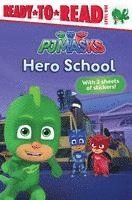 bokomslag Hero School