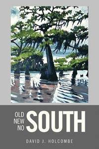 bokomslag Old South, New South, No South
