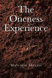 bokomslag Oneness Experience