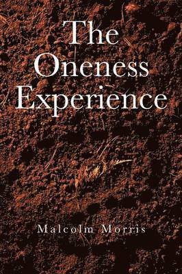 bokomslag Oneness Experience