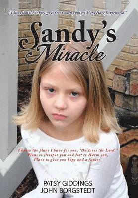 bokomslag Sandy's Miracle