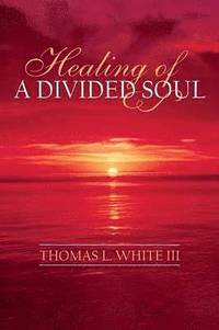 bokomslag Healing of a Divided Soul