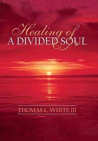 bokomslag Healing of a Divided Soul