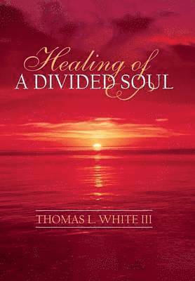 bokomslag Healing of a Divided Soul
