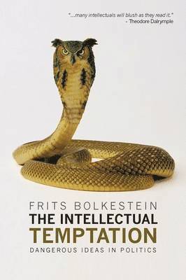 bokomslag The Intellectual Temptation