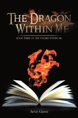 Dragon Within Me 1