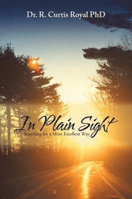 In Plain Sight 1