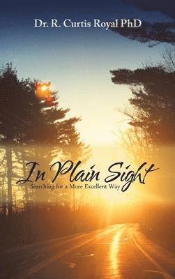 In Plain Sight 1
