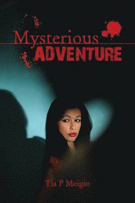 bokomslag Mysterious Adventure