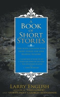 bokomslag A Book of Short Stories