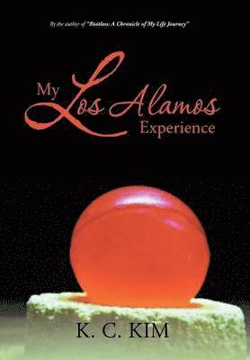bokomslag My Los Alamos Experience