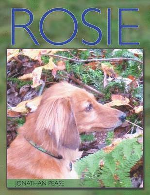 bokomslag Rosie
