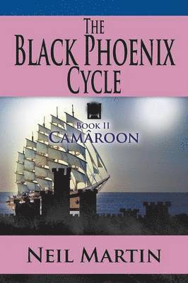 bokomslag The Black Phoenix Cycle