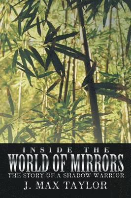 Inside the World of Mirrors 1