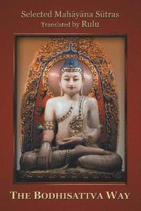 bokomslag Bodhisattva Way