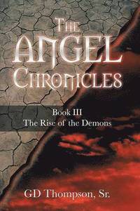 bokomslag The Angel Chronicles