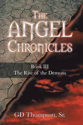 The Angel Chronicles 1