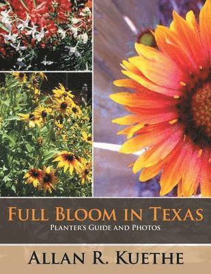 Full Bloom in Texas 1