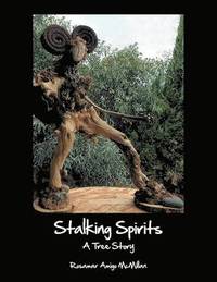 bokomslag Stalking Spirits