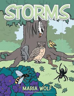 Maria Wolf - Storms, Häftad
