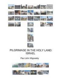 bokomslag Pilgrimage in the Holy Land
