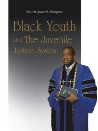 bokomslag Black Youth and The Juvenile Justice System