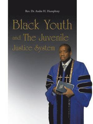 Black Youth and The Juvenile Justice System 1