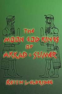 bokomslag THE Moon God Kings of Akkad and Sumer