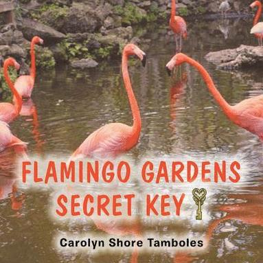 bokomslag Flamingo Gardens Secret Key